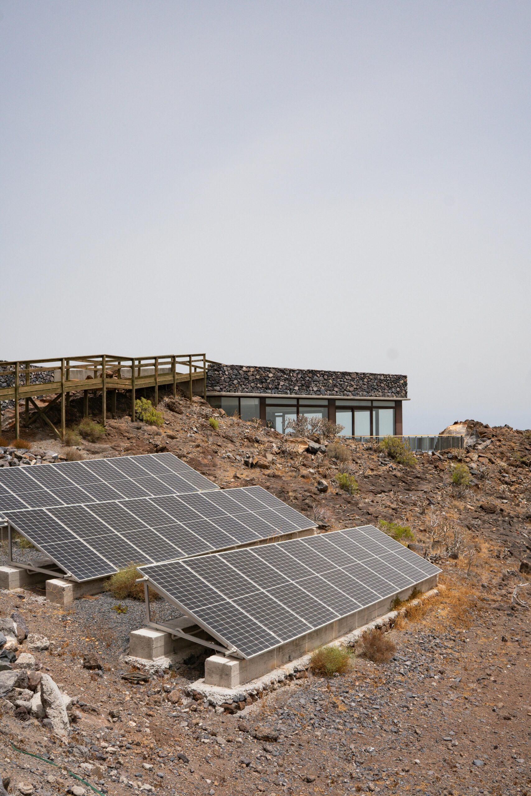 pexels-liisbet-luup-121486327-33597985